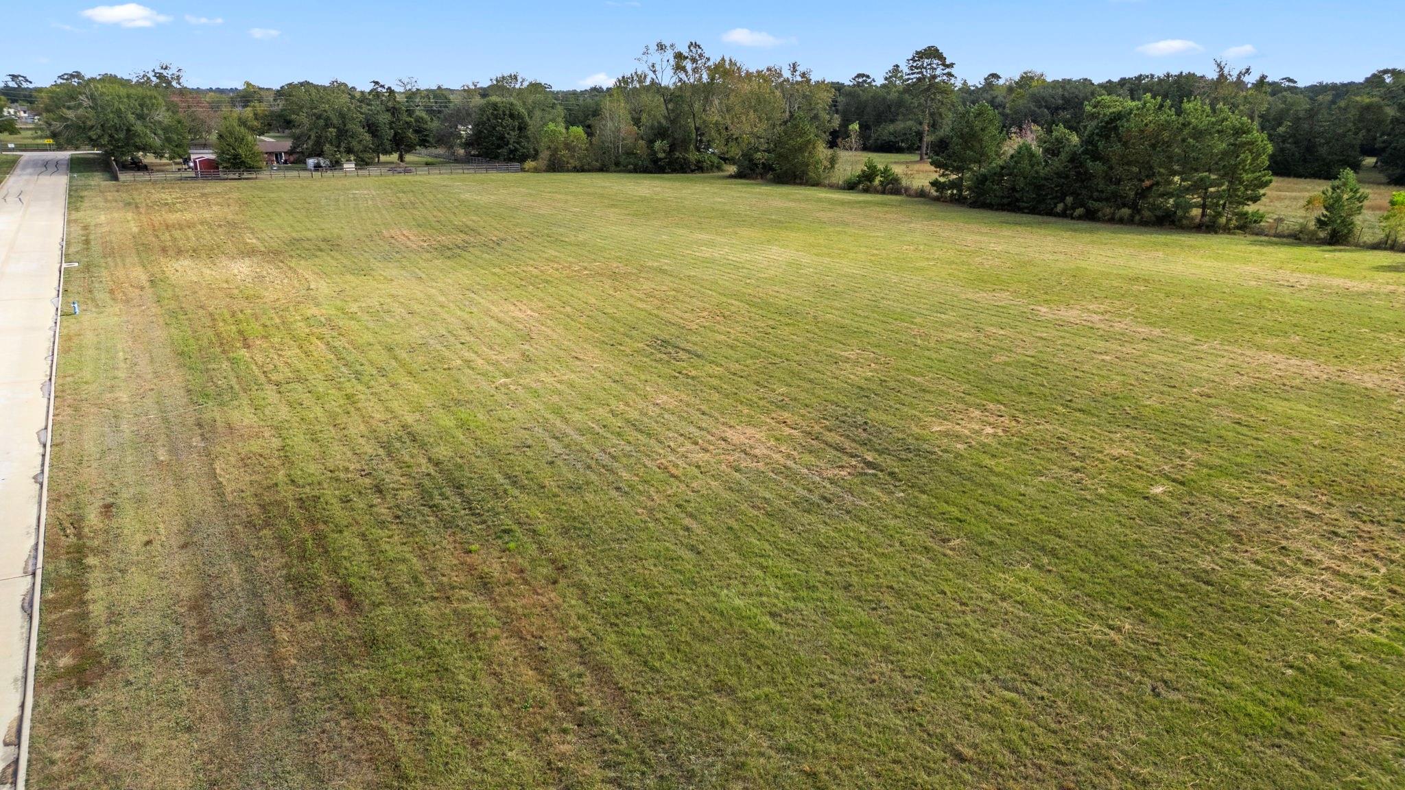TBD Blooming Rose Meadow