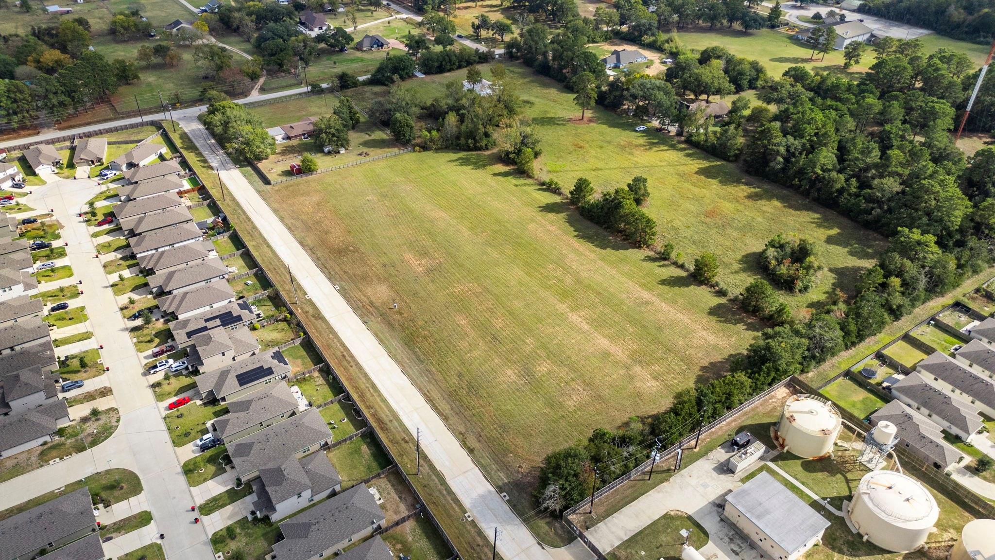 TBD Blooming Rose Meadow