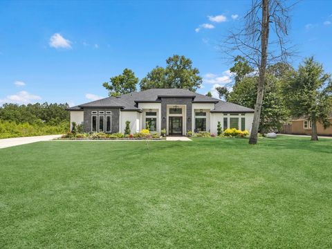 19447 Desna Drive Porter TX 77365