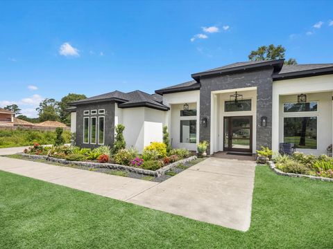 19447 Desna Drive Porter TX 77365