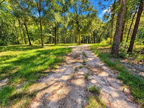 Photo of 20275 Fm 770, Saratoga, TX 77585 (MLS # 20661213)