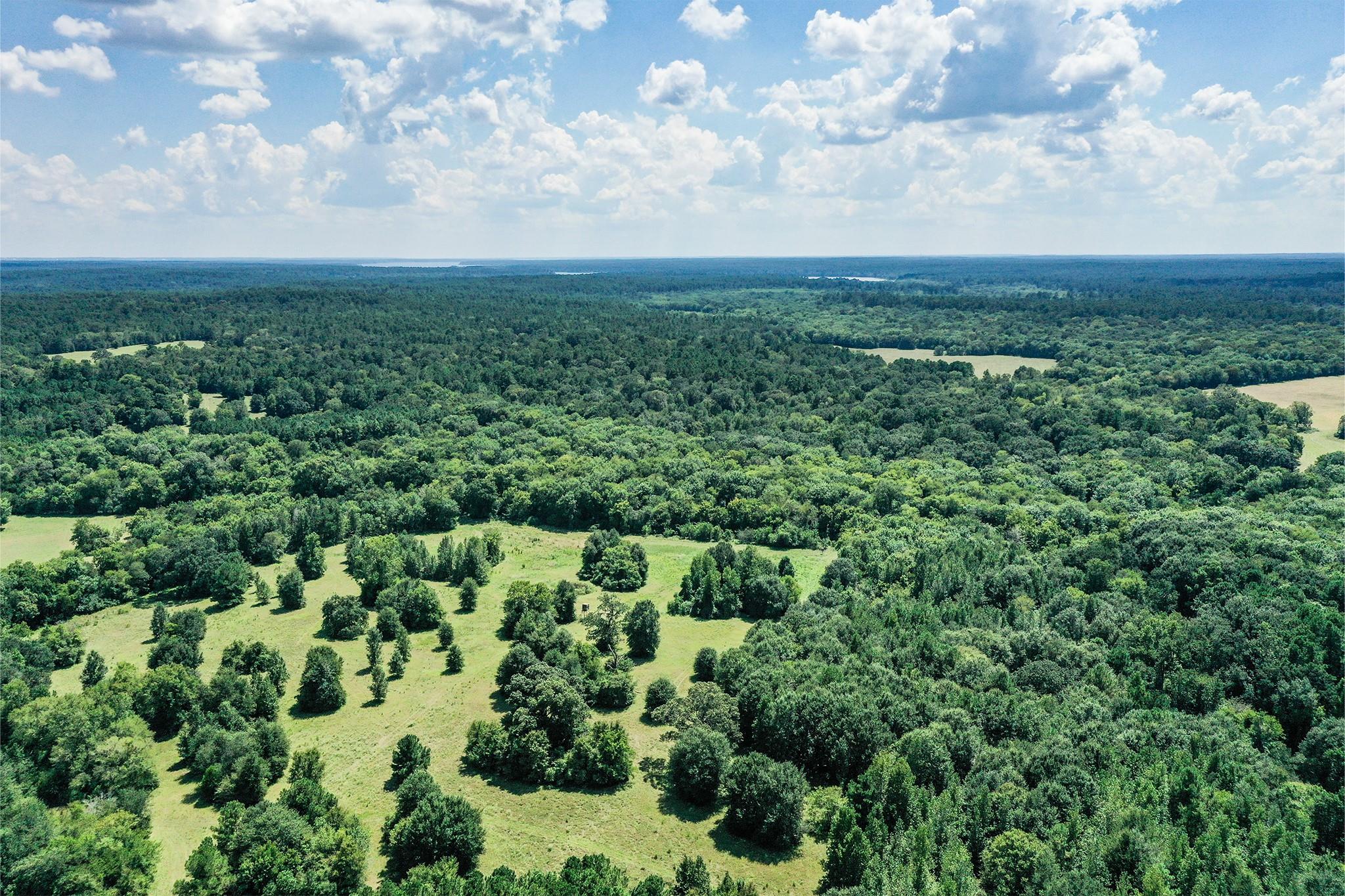 150 Acres Fm 1374