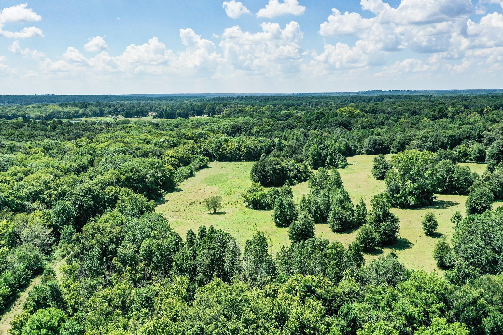 150 Acres Fm 1374