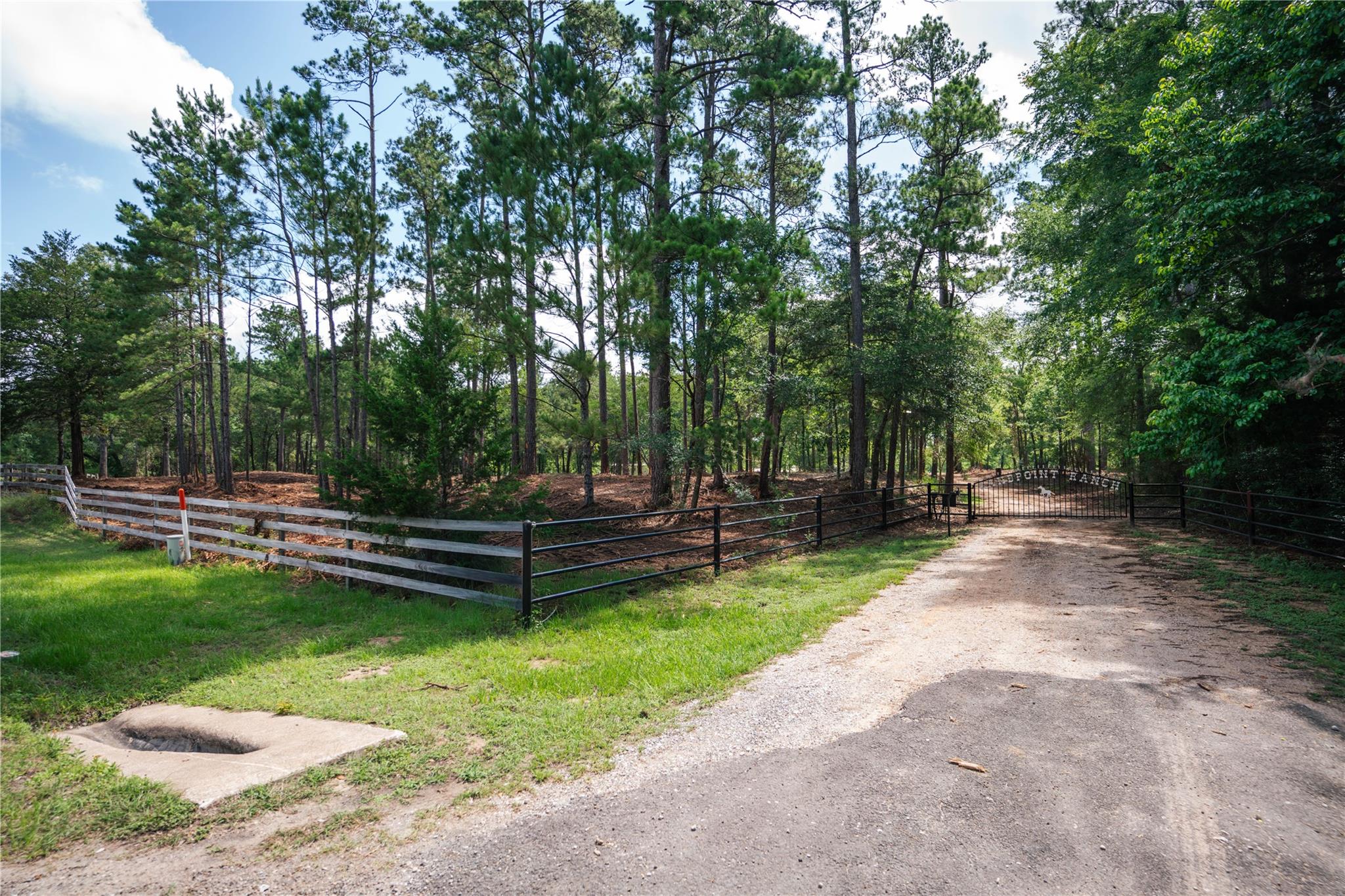 11041 Fm 1774