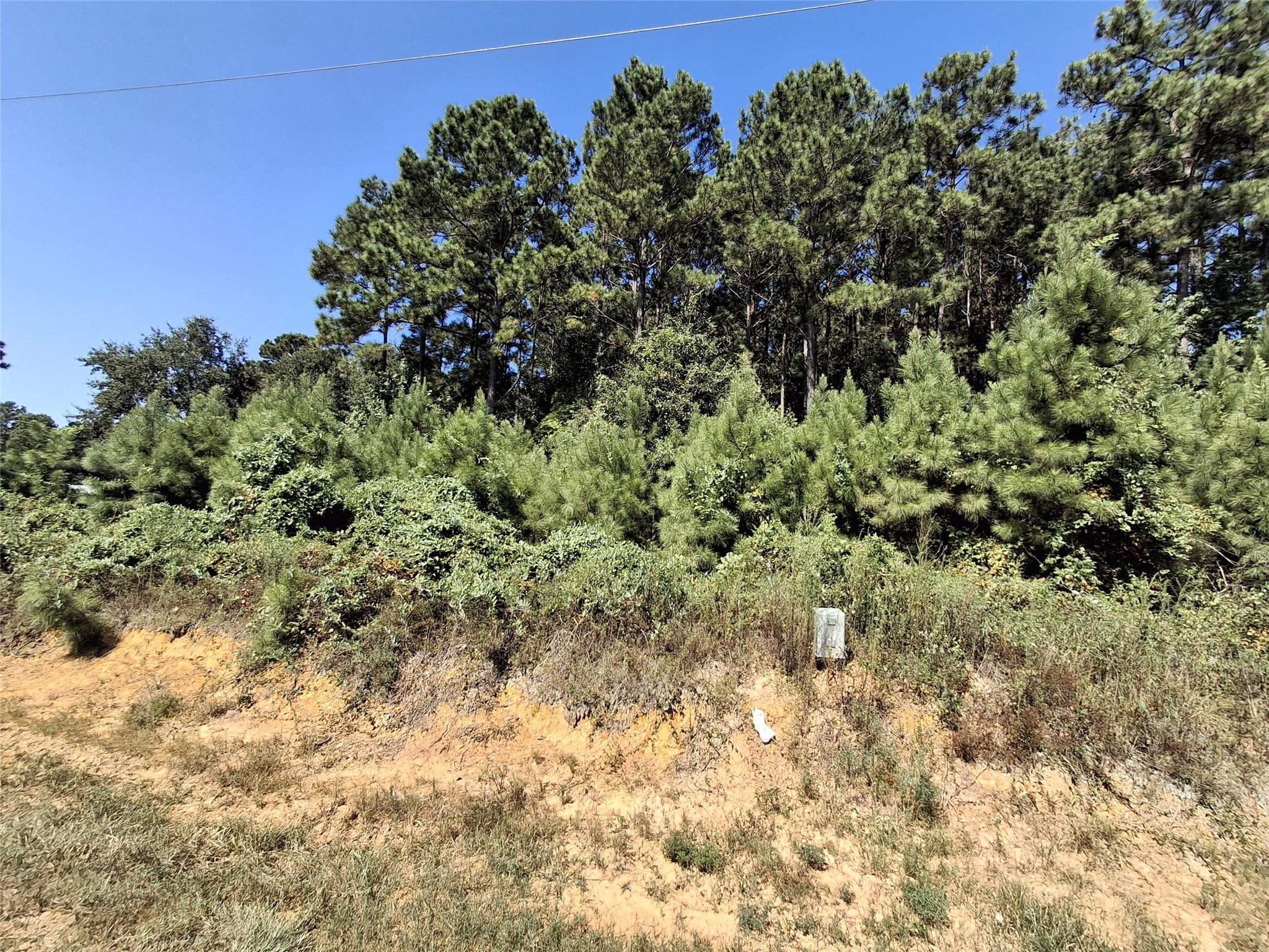 326 County Road 3545