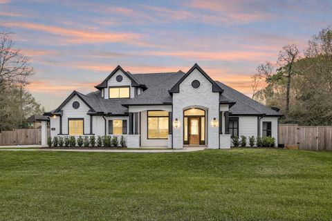 Photo of 10004 Summer Ridge Lane, Conroe, TX 77302 (MLS # 64560886)