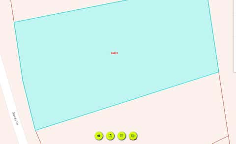 Vacant Land For Sale - TBD Sandy Lane<br/> Tyler County, Woodville, TX 75979