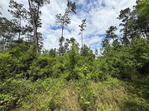 Photo of TBD Kelly Rd Road, Thicket, TX 77374 (MLS # 46393713)