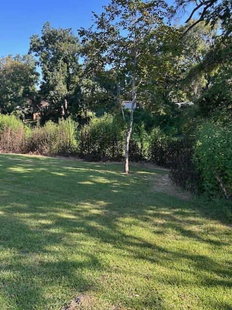 118 Creekside Lane