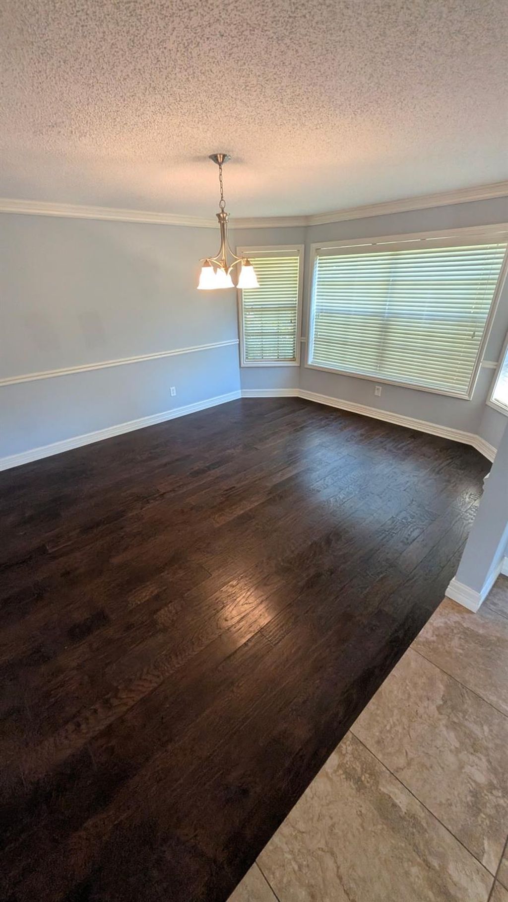 Photo of 2019 Braesmeadow Lane, Sugar Land, TX 77479 (MLS # 24971664)