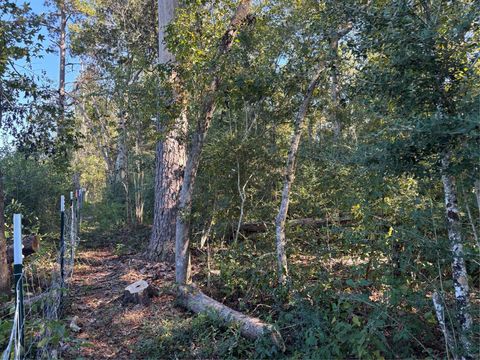 Photo of 0 L C Herschap Lane, Livingston, TX 77351 (MLS # 2251356) Photo of 0 L C Herschap Lane, Livingston, TX 77351 (MLS # 2251356)