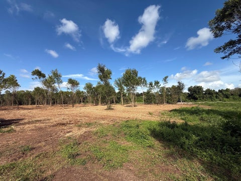 Vacant Land For Sale - 3114 County Road 30<br/> Brazoria County, Angleton, TX 77515