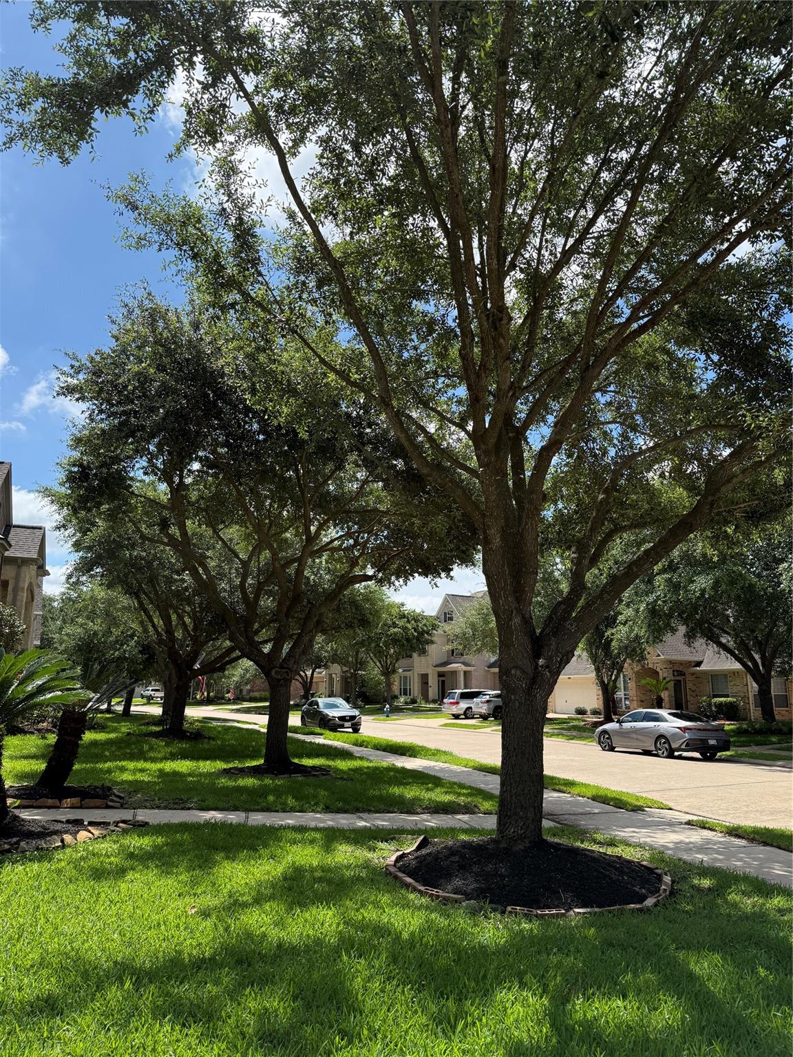 26618 Boulder Cove Court