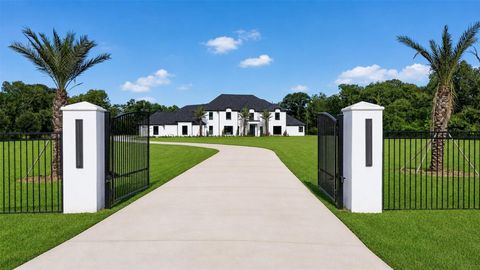 Photo of 8243 Thompson Lake Drive, Missouri City, TX 77459 (MLS # 80510061)