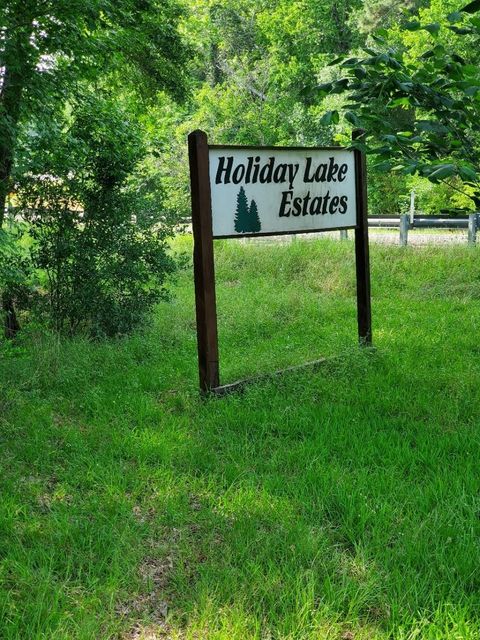 Photo of 0 Elmwood Drive, Goodrich, TX 77335 (MLS # 97866042)
