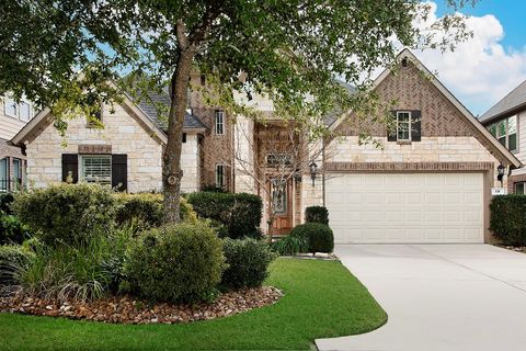 18 Estherwood The Woodlands TX 77354