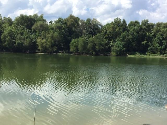 351 S Lakeside Drive