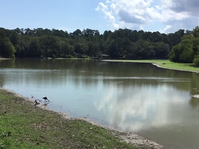 351 S Lakeside Drive