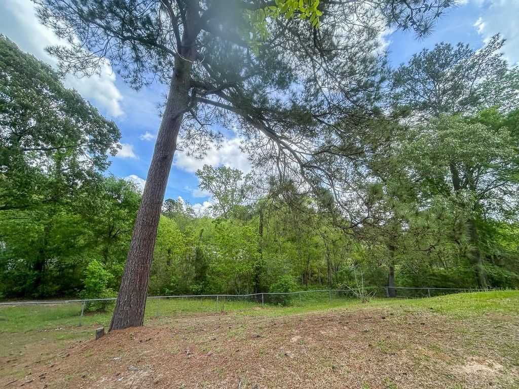 Photo of 3221 Kingston Drive, Huntsville, TX 77340 (MLS # 53614196)