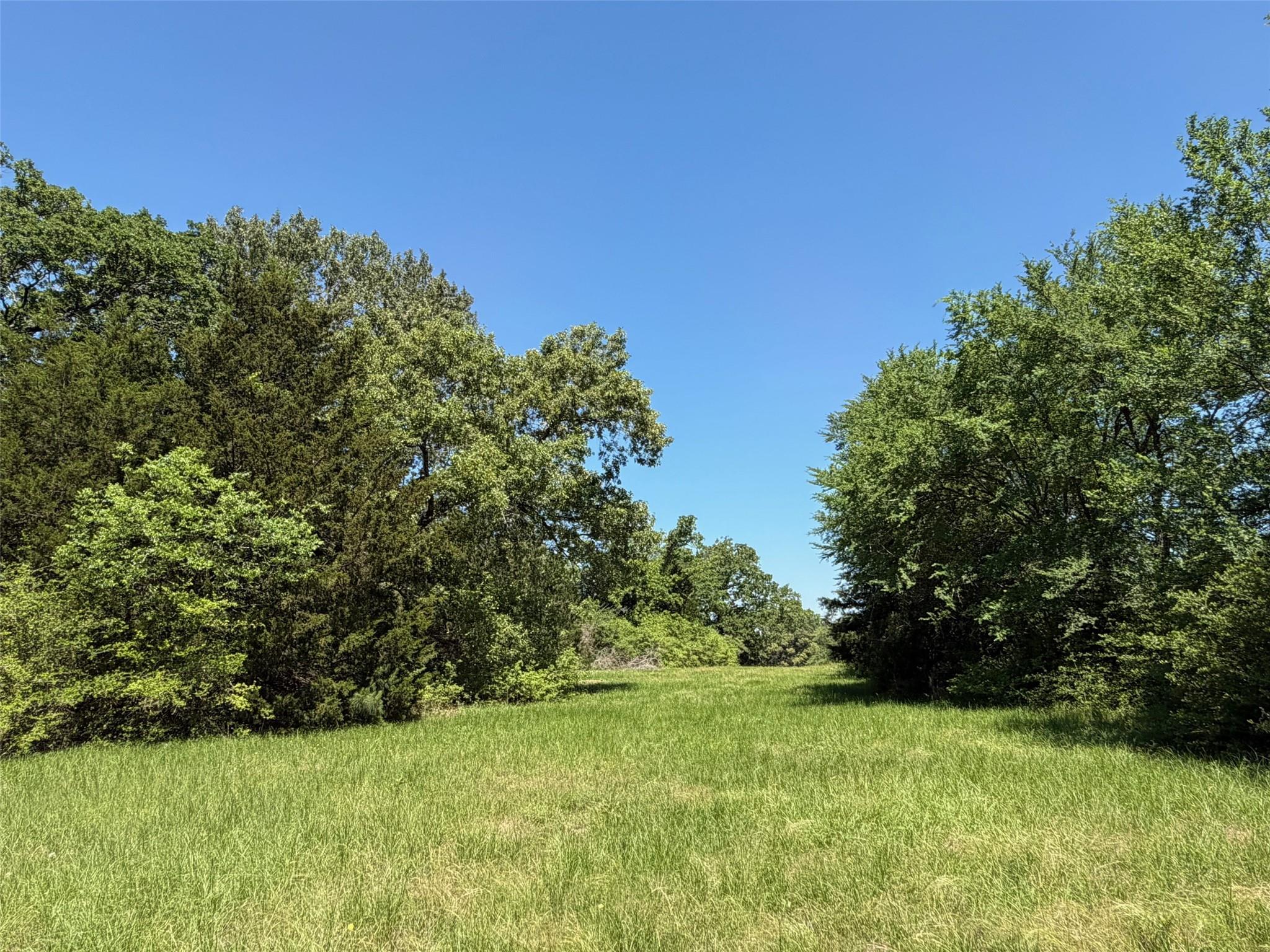 TBD Highway 75 South