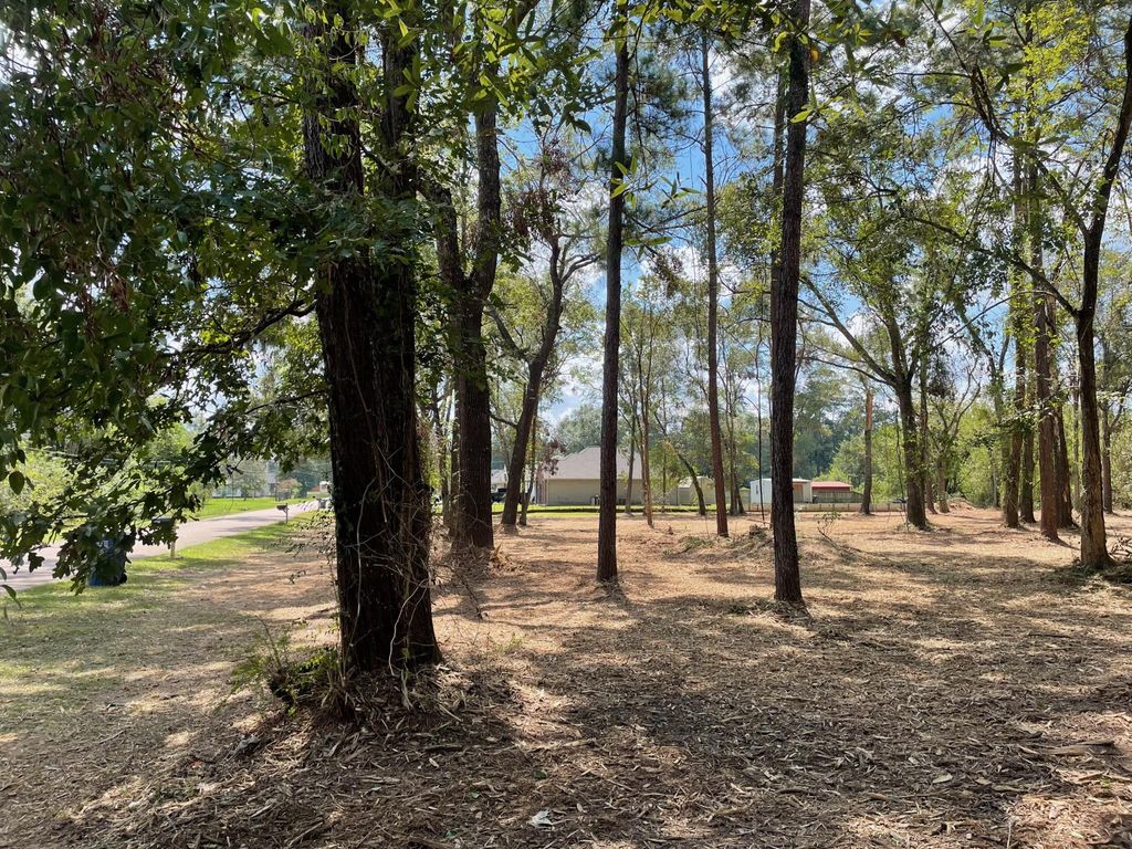 Photo of 20780 Oakshade Drive, New Caney, TX 77357 (MLS # 7348671)