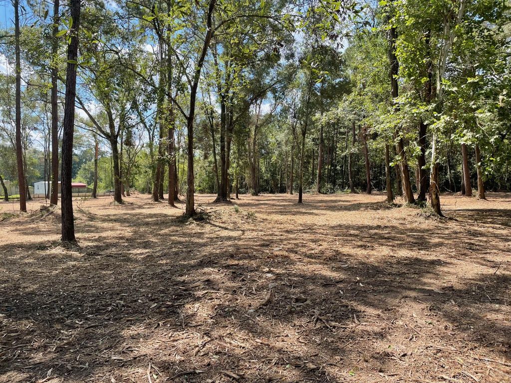 Photo of 20780 Oakshade Drive, New Caney, TX 77357 (MLS # 7348671)