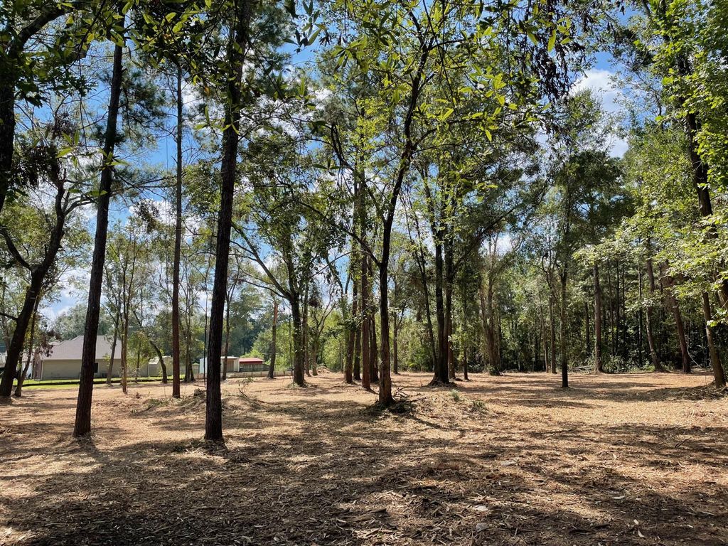 Photo of 20780 Oakshade Drive, New Caney, TX 77357 (MLS # 7348671)