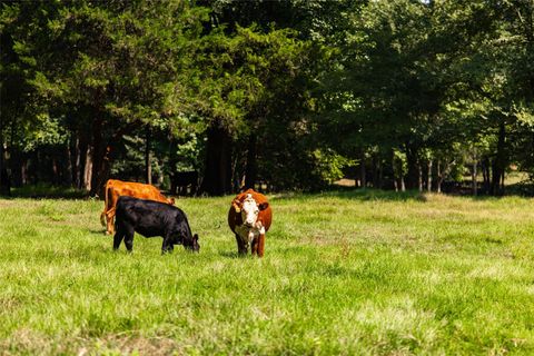 Tiny photo for 5730 E Fm 323, Palestine, TX 75801 (MLS # 64148005)