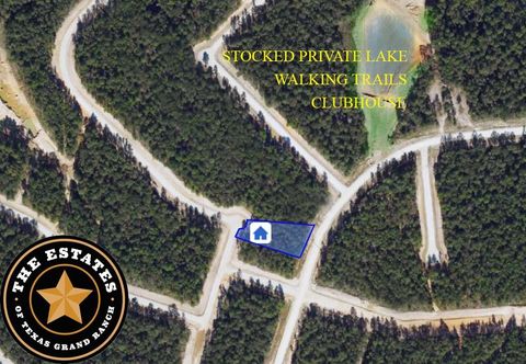 Photo of 191 Heartland Road, New Waverly, TX 77358 (MLS # 34406237)