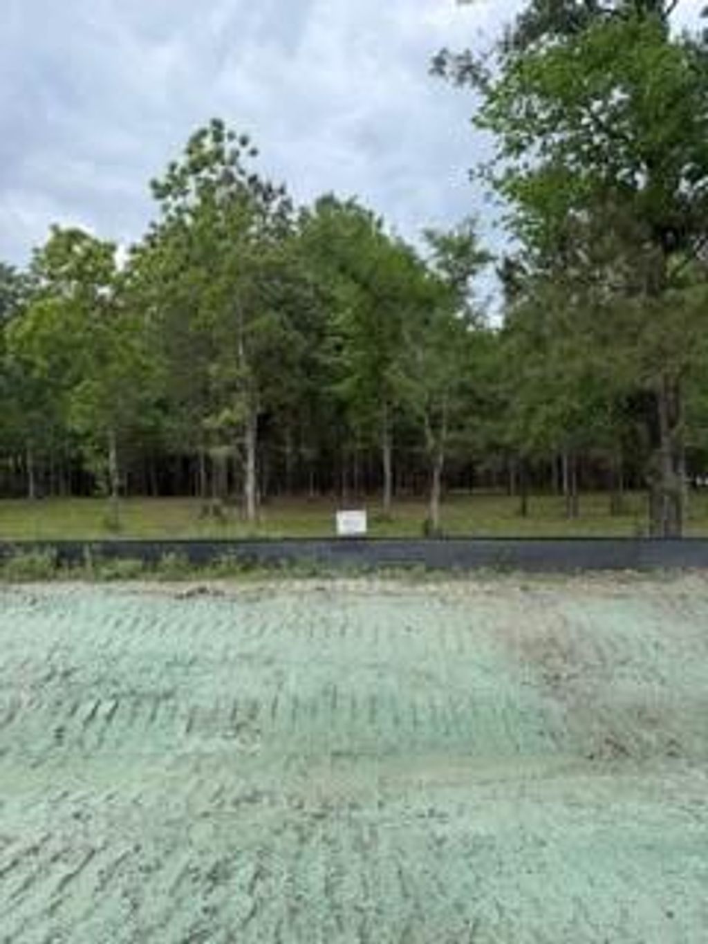 Photo of 139778 Capital Creek Ranch Boulevard, Willis, TX 77378 (MLS # 66132368)