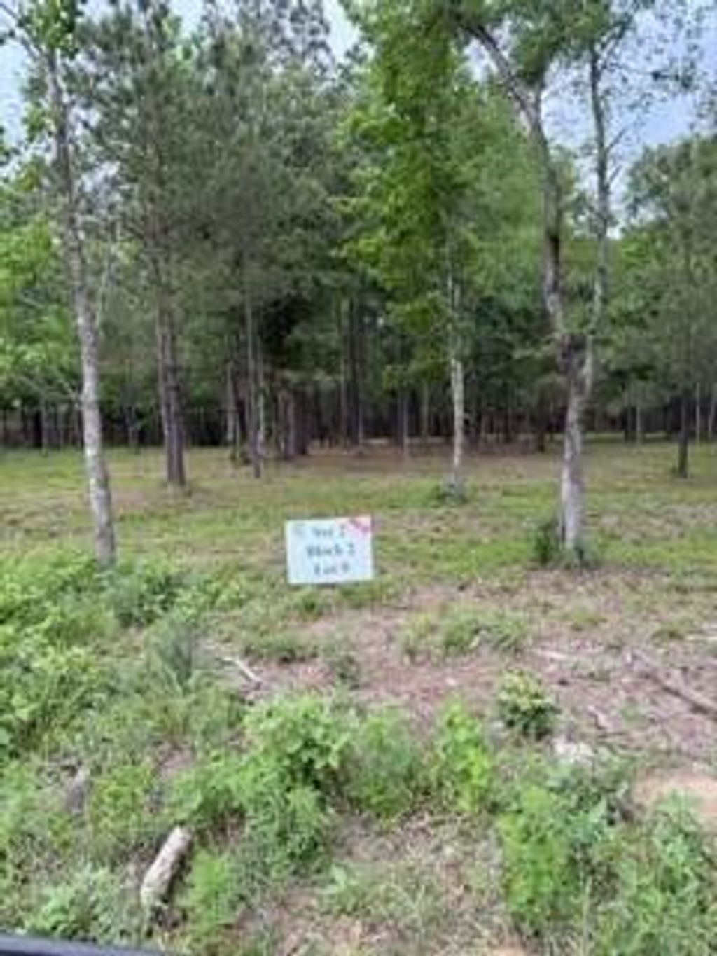 Photo of 139778 Capital Creek Ranch Boulevard, Willis, TX 77378 (MLS # 66132368)