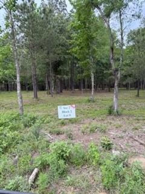 Photo of 139778 Capital Creek Ranch Boulevard, Willis, TX 77378 (MLS # 66132368)