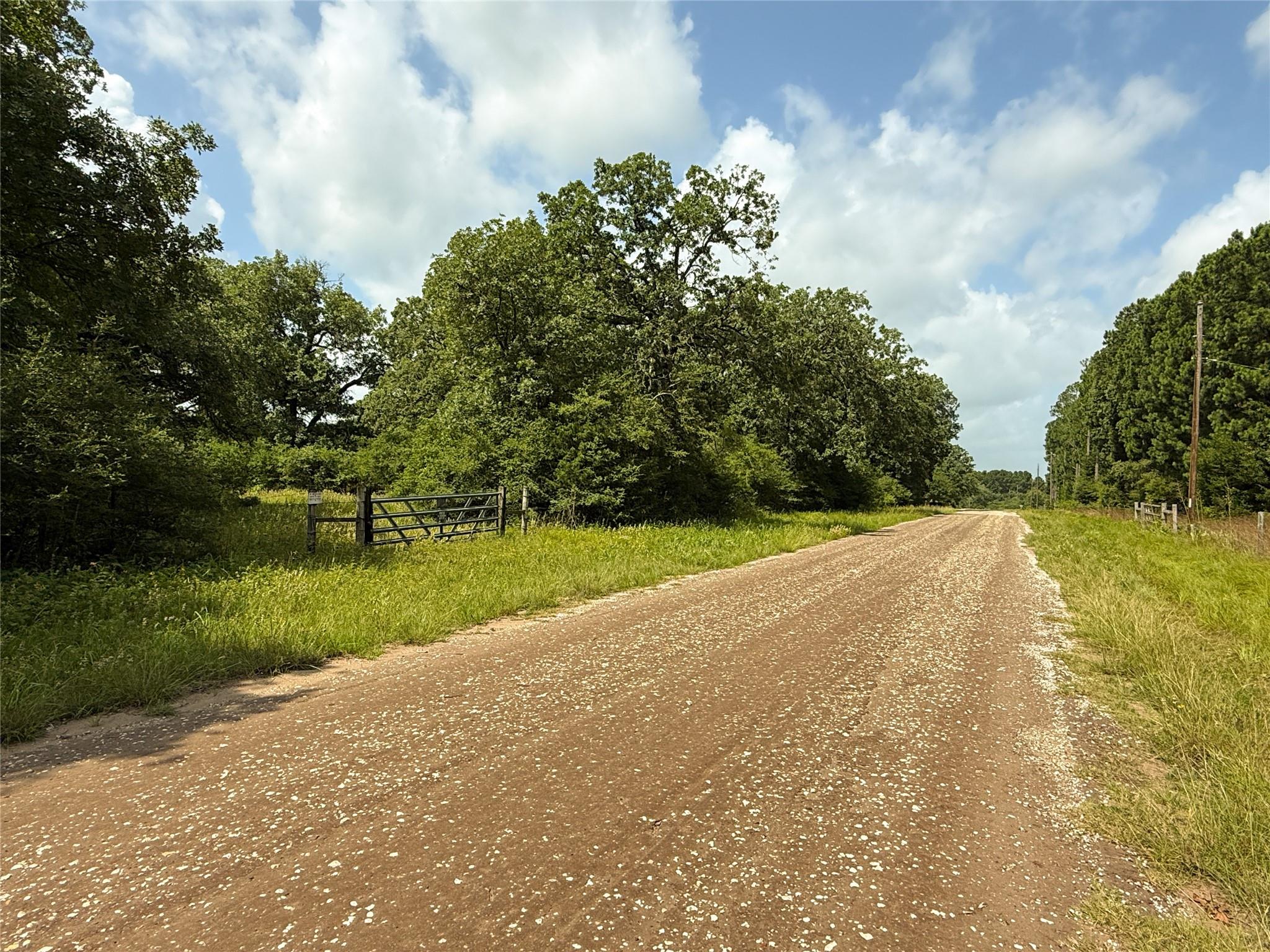 2689 County Road 261