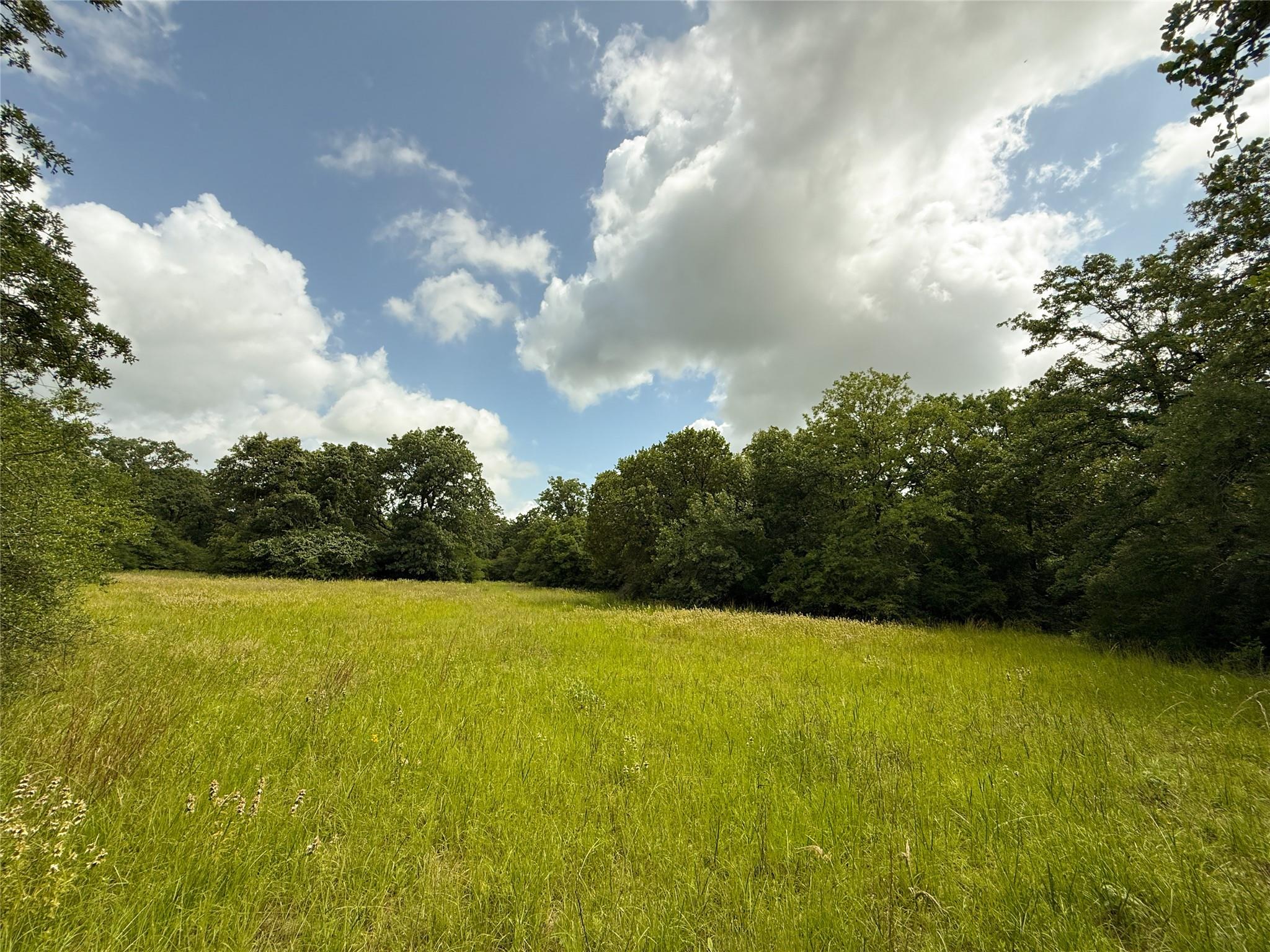 2689 County Road 261