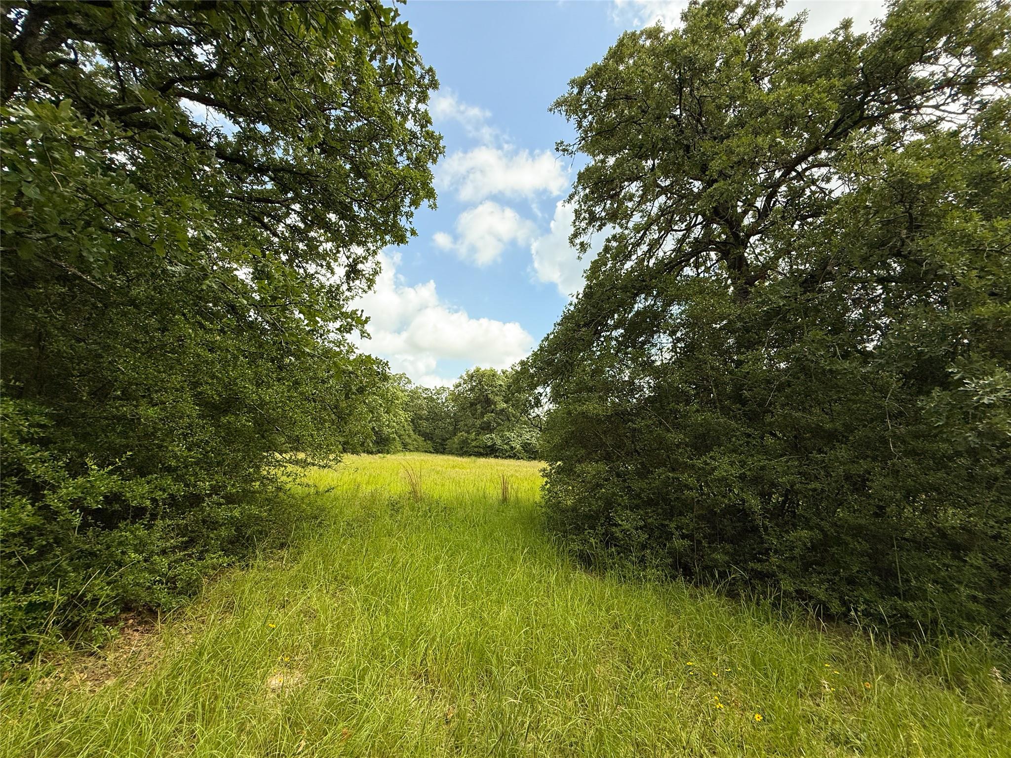 2689 County Road 261