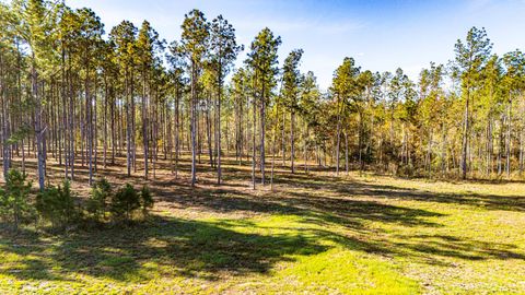 Vacant Land For Sale - 141516 Big Buck Drive<br/> Moscow, TX 75960