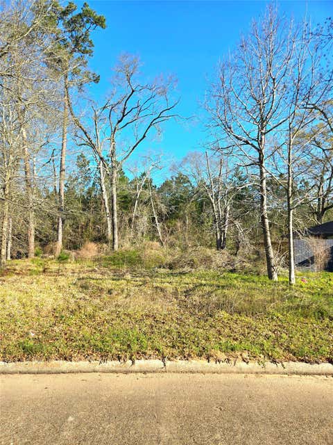 Vacant Land For Sale - TBD E Hanson Street<br/> Liberty County, Cleveland, TX 77327