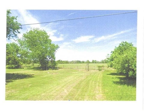 Photo of 1447 Crockett Street, Columbus, TX 78934 (MLS # 51372412)