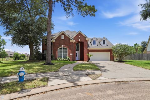 Photo of 11623 Ruby Canyon Lane, Houston, TX 77095 (MLS # 25602771)