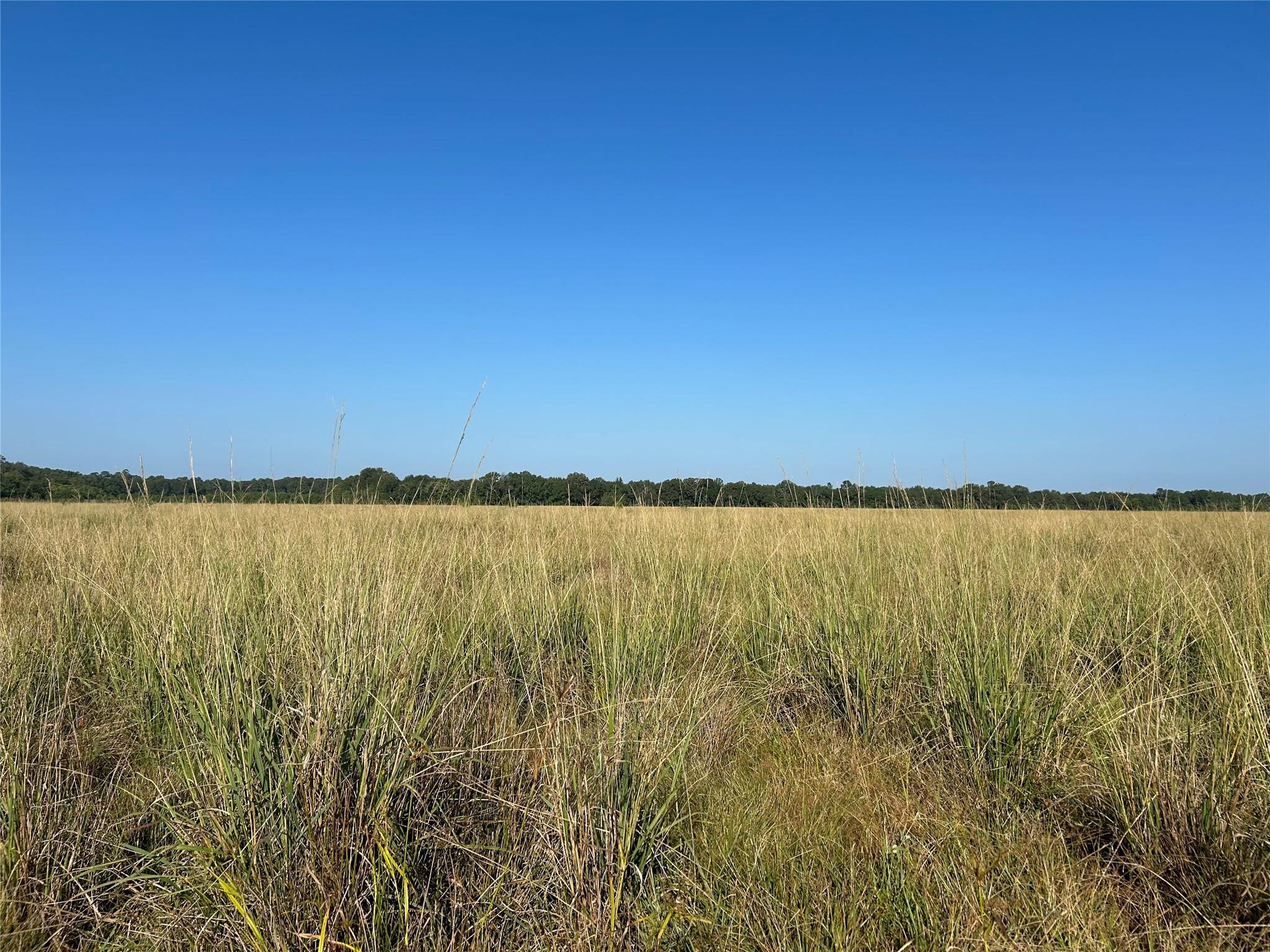 Lot 64 Minnie West Rd Drive