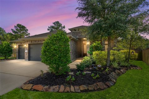 106 Wild Wisteria Place Montgomery TX 77316
