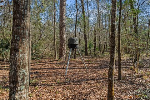 Tiny photo for 10303 Croger Drive, Magnolia, TX 77354 (MLS # 43261000)