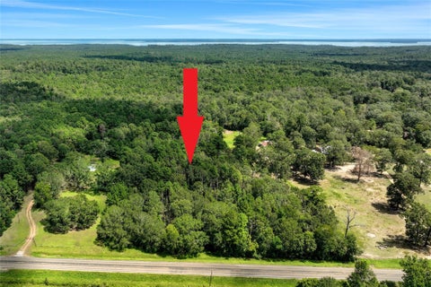Vacant Land For Sale - TBD Hwy 156<br/> Coldspring, TX 77331