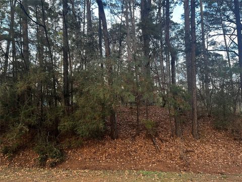 Photo of 26 Sunny Hill Drive, Coldspring, TX 77331 (MLS # 2352764)