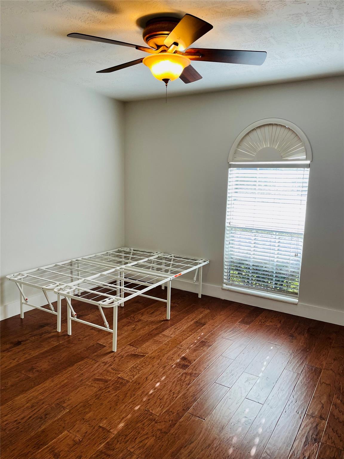 3405 Kleberg Court