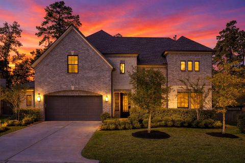 359 Calmato Woods Way Conroe TX 77318