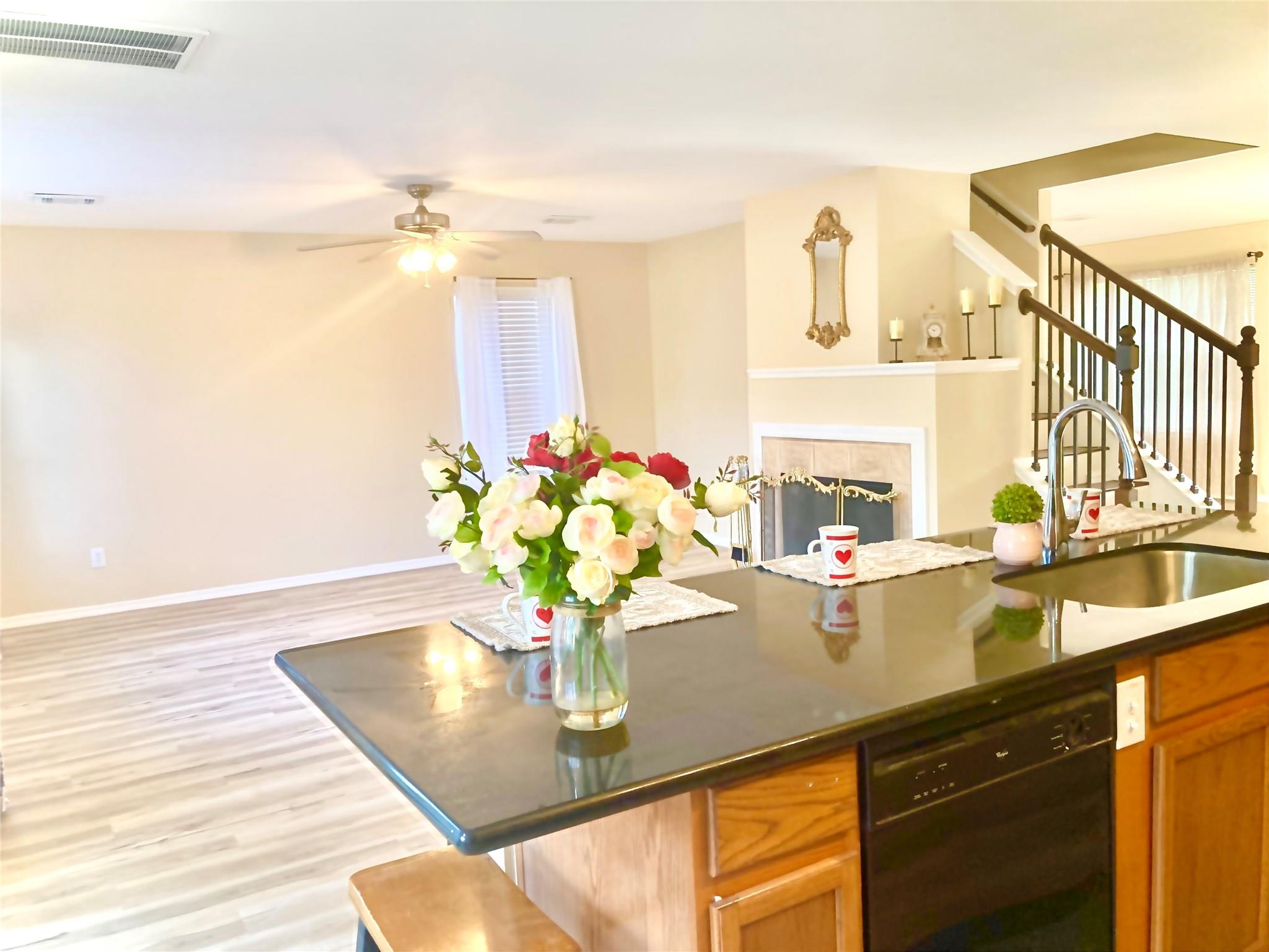 3742 Brighton Springs Lane