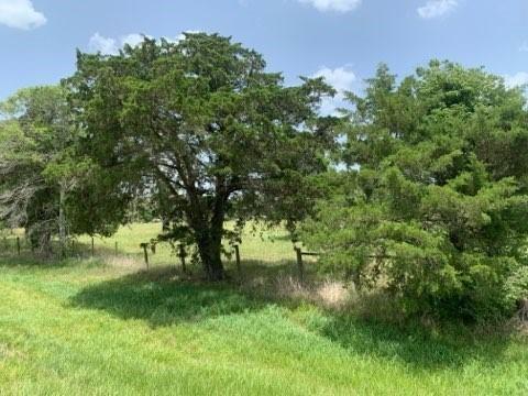29929 Fm 1301 Road