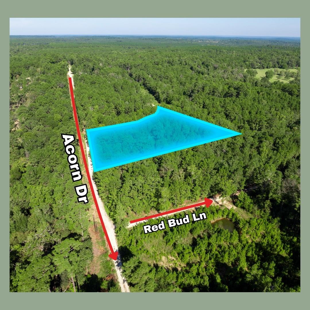 - Sweetgum Lane Lane