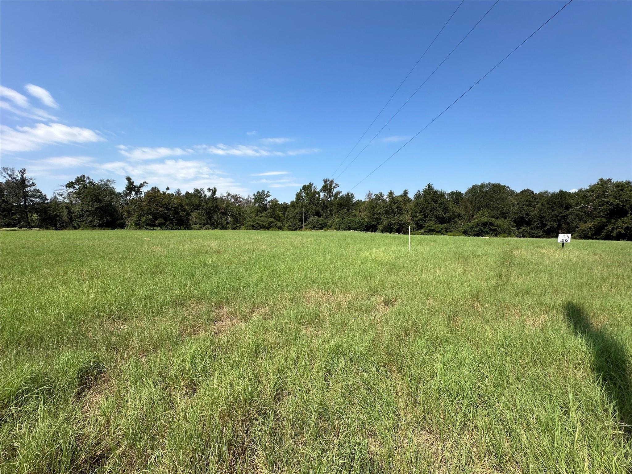 Lot 87 Horseshoe Lake Ranch